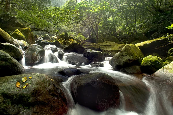 Cascade tombe sur une vieille rivière de prune avec des rochers — Photo