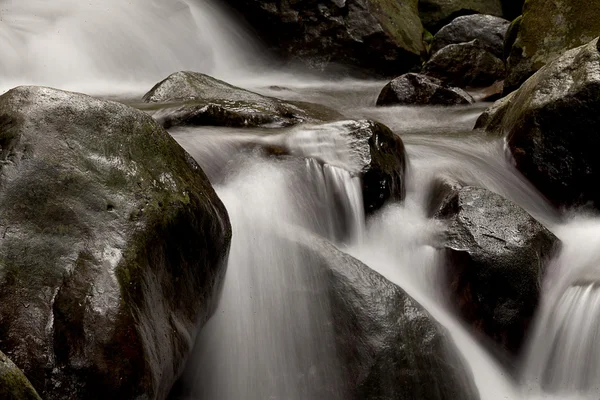 Cascata cade sul vecchio fiume prugna con rocce — Foto Stock