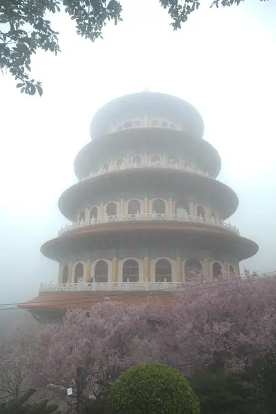 Sakura, temple avec brouillard — Photo