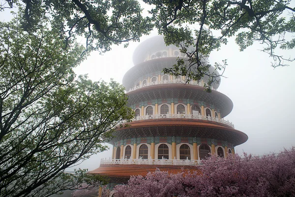Sakura, templet med fog — Stockfoto