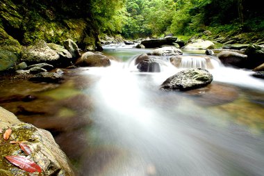 eski Erik şelaleden CASCADE rive