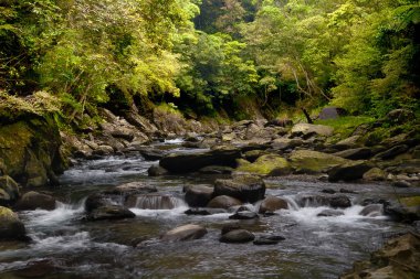 eski Erik şelaleden CASCADE rive