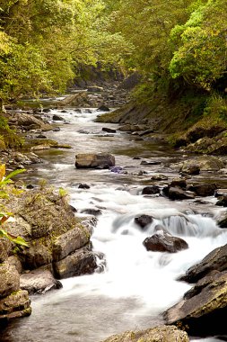 eski Erik şelaleden CASCADE rive