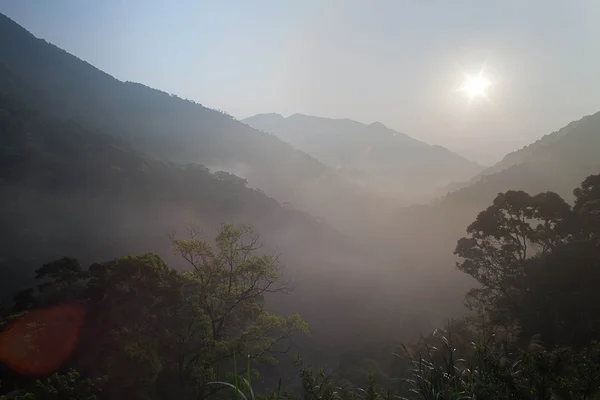 Sonnenaufgang in den Bergen mit grünem Baum für die beste Web-Nutzung — Stockfoto