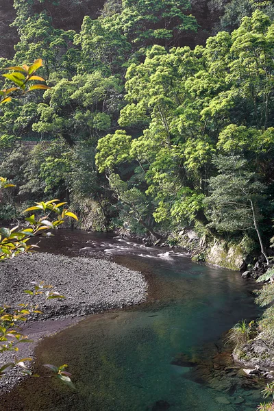 Dağ, nehir ve yeşil ağaç için en iyi web kullanımı — Stok fotoğraf