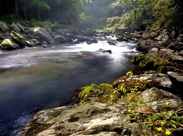 Гори, річки та зелене дерево за кращий веб-використання — стокове фото