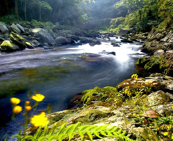산, 강, 최고의 웹에 대 한 녹색 트리 사용 — 스톡 사진