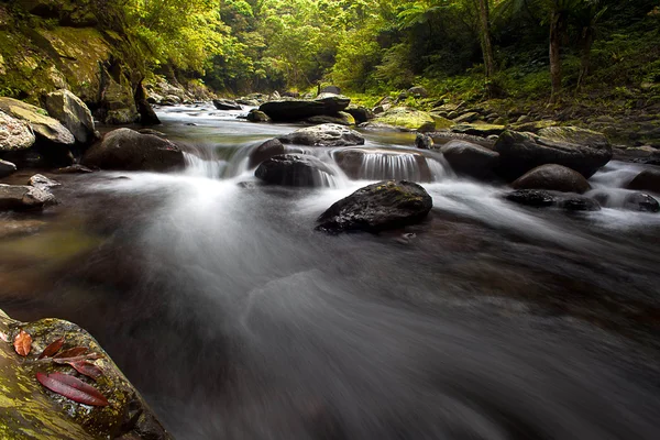 Montagne, rivière et arbre vert pour une meilleure utilisation du web — Photo