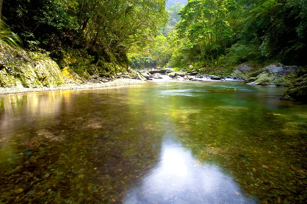Montaña, río y árbol verde para el mejor uso web — Foto de Stock