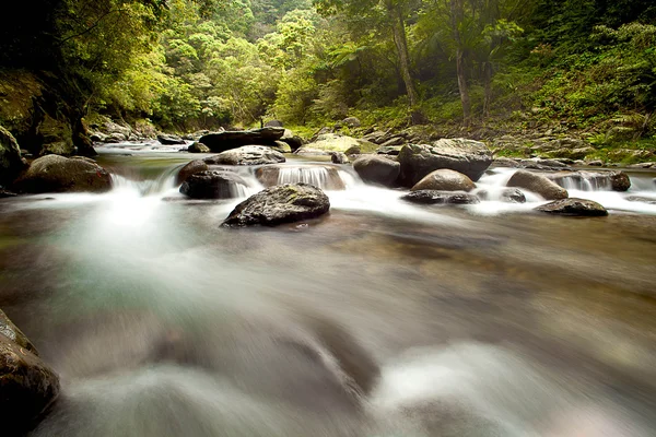 Cascada cae sobre el viejo rive ciruela — Foto de Stock
