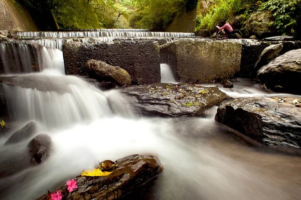 Cascade falls over old plum rive — Stock Photo, Image