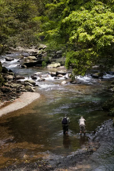 eski Erik şelaleden CASCADE rive