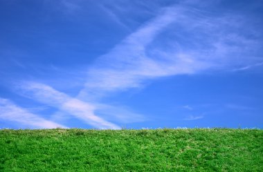 Cirrus clouds and grass background clipart