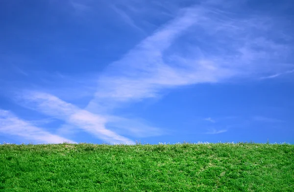 stock image Cirrus clouds and grass background