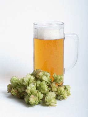 bira ve hop