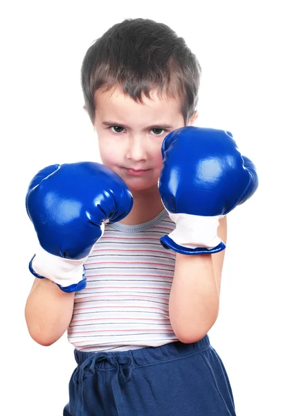 Pequeno boxeador — Fotografia de Stock