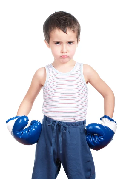 Little dangerous boxer Stock Photo