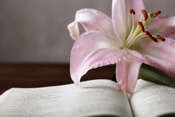 Easter lily and bible — Stock Photo, Image