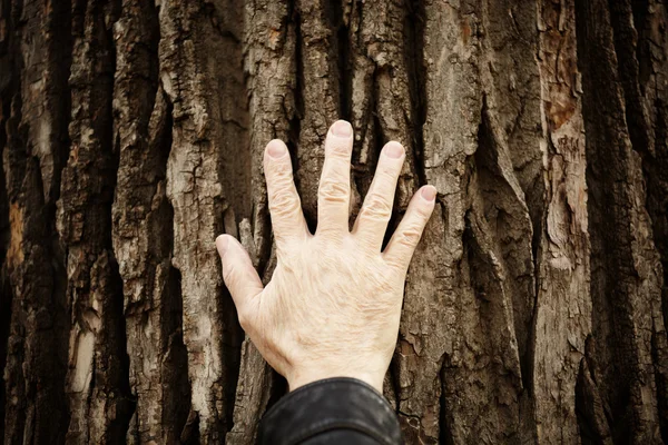 Touch the nature — Stock Photo, Image