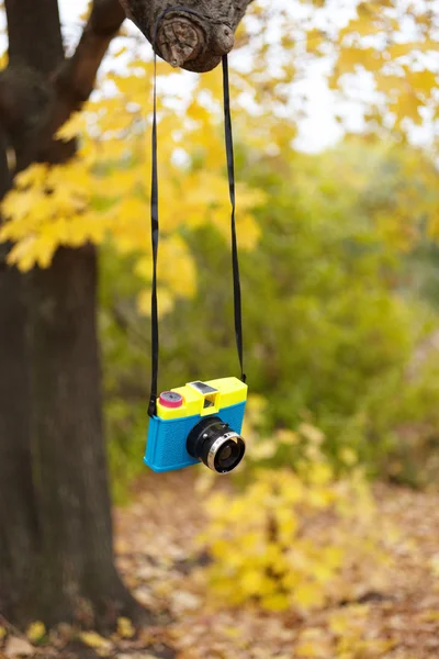 Toy camera — Stock Photo, Image