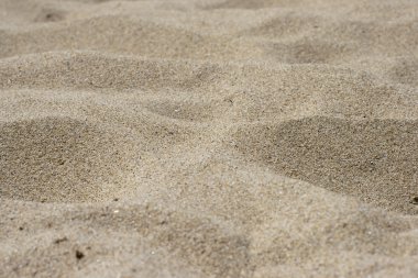 Sand on the beach, close-up clipart