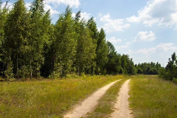 stock image Summer. landscape with road