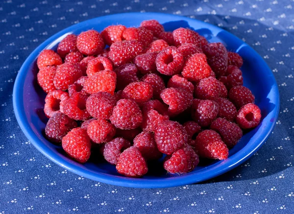 Lots of ripe raspberries on the blue plate — Stock Photo, Image