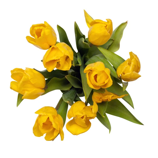 A tetején a Vágógörbe elszigetelt sárga tulipánok. — Stock Fotó