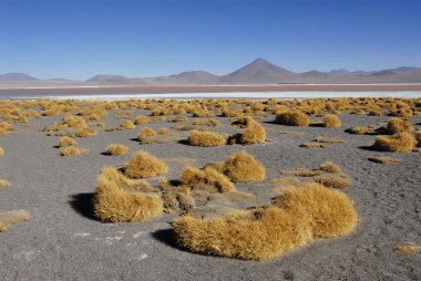 Laguna Colorada clipart