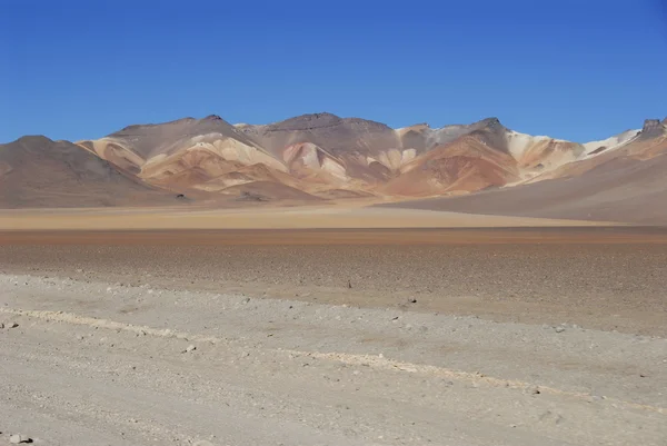 달리의 사막 — 스톡 사진