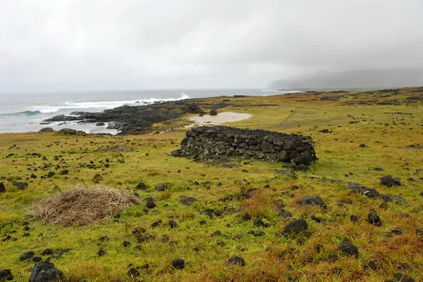 Landscape at Ahu Te Pito Kura — Stock Photo, Image
