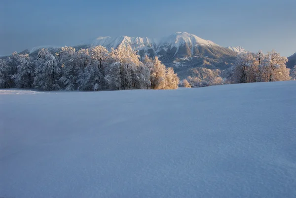 Гора. Стол зимой — стоковое фото
