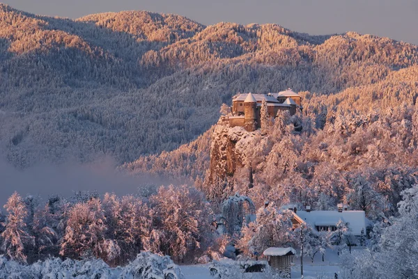 O castelo de Bled Imagens Royalty-Free