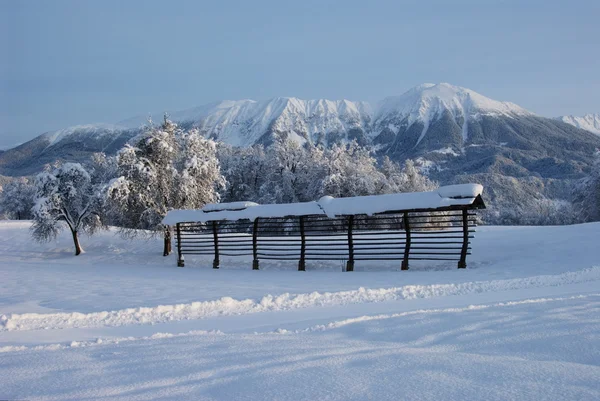 Гора. Стол зимой Лицензионные Стоковые Изображения