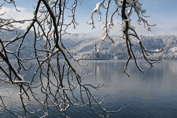 Ilha de Bled — Fotografia de Stock