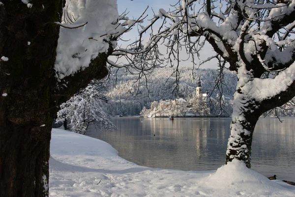Isla de Bled — Foto de Stock