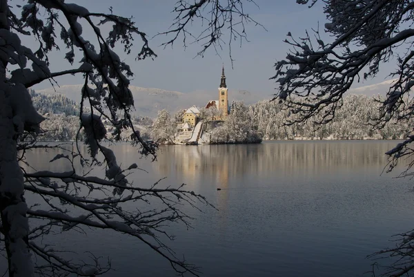 Île de Bled — Photo