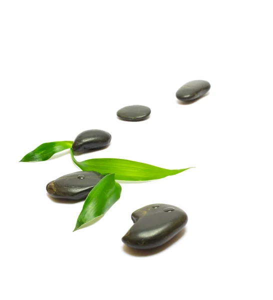 Czarne kamienie i Bambus liście na białym tle — Zdjęcie stockowe