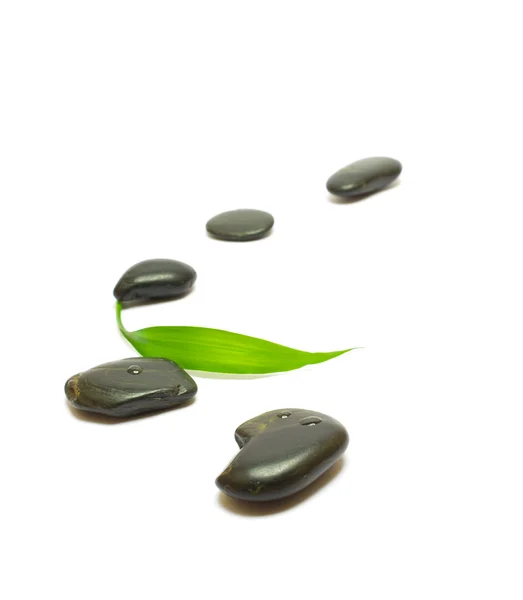 Black stones and bamboo leaf on white — Stock Photo, Image