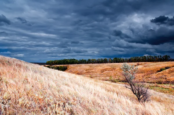 Vor dem Sturm 2 — Stockfoto