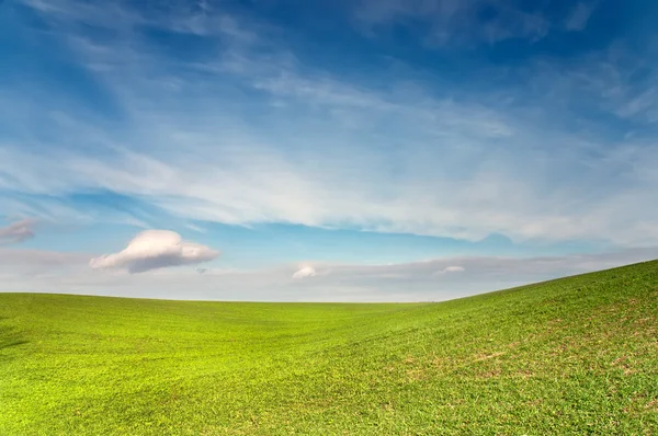Zöld mező a kék ég alatt — Stock Fotó