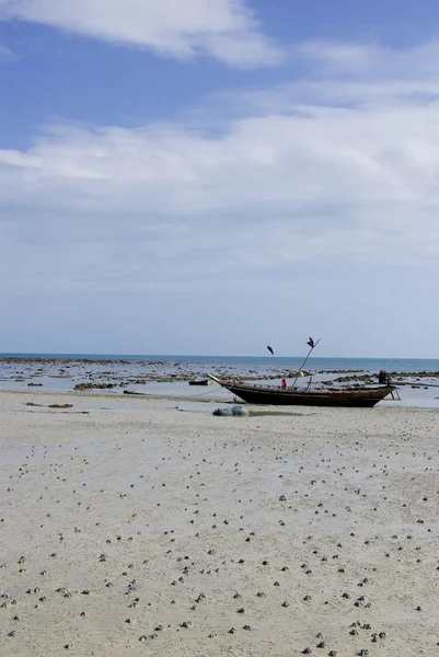 Човен на пляжі з гарним небом — стокове фото