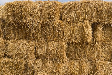 Straw background clipart