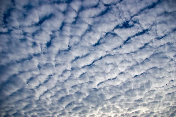 Katoen wolk op blauwe hemel — Stockfoto