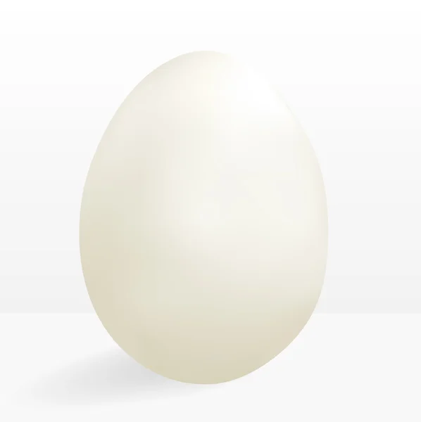 Illustration of Clean Egg — Stock Vector