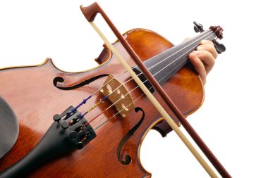 Playing Violin on white backround clipart