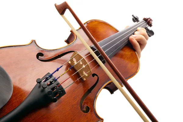 Spela fiol på vit bakrund — Stockfoto