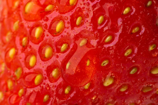 stock image Strawberry. Macro