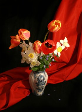 Bouquet of tulips with narcissuses clipart