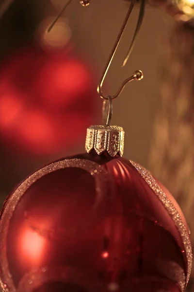 Röd jul boll på julgran — Stockfoto